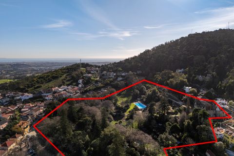 Landsbyhus i Sintra, Lisbon, Sintra - € 16.500.000 | Ref: W-02WJ84 - foto 4